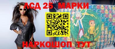 шишки Можга