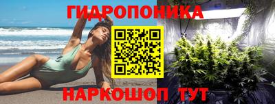 шишки Можга