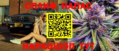 шишки Можга