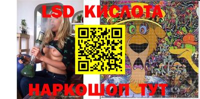 шишки Можга
