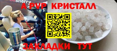 шишки Можга