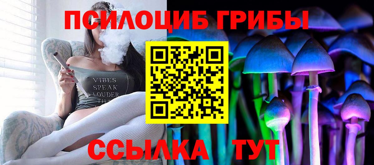 Галлюциногенные грибы MAGIC MUSHROOMS Будённовск