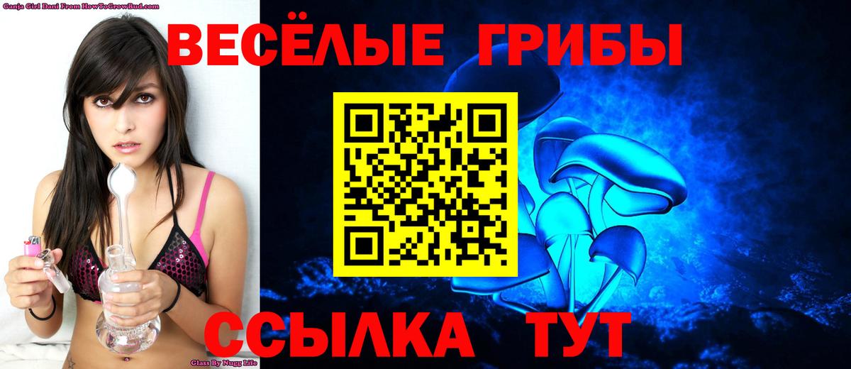 Будённовск  Галлюциногенные грибы мухоморы  Вход с VPN 